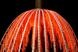 SUNDEW FOR SWAROVSKI